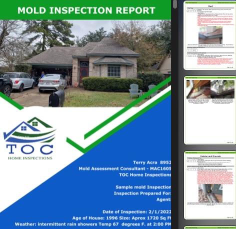 Sample Mold Inspection Report